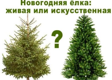 https://vektor-market.ru/u/news/158_big_0.webp