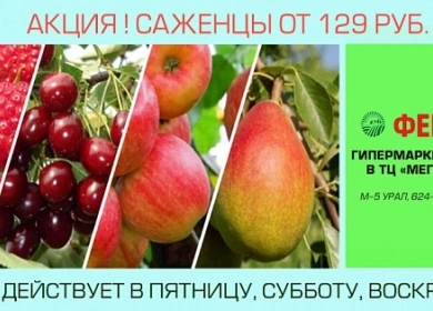 https://vektor-market.ru/u/news/165_big_0.webp