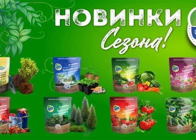 https://vektor-market.ru/u/news/209_big_0.webp