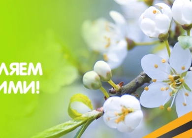 https://vektor-market.ru/u/news/211_big_0.webp
