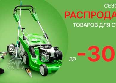 https://vektor-market.ru/u/news/224_big_0.webp