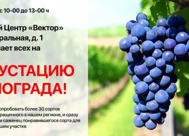 https://vektor-market.ru/u/news/234_big_0.webp