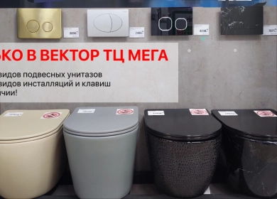 https://vektor-market.ru/u/news/236_big_0.webp