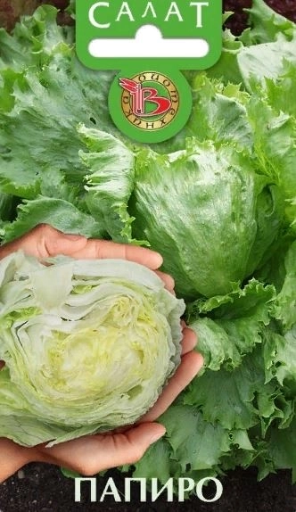Салат Папиро кочанный Биотехника Ц