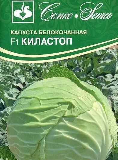 Капуста Киластоп Семко Ц