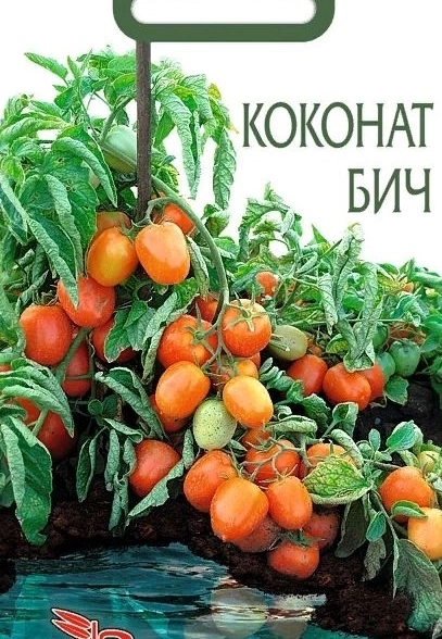Томат Коконат Бич Биотехника Ц