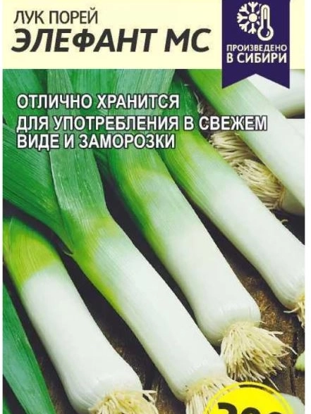 Лук Порей Элефант МС/Алт/цп 1гр.
