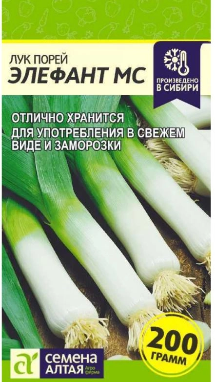 Лук Порей Элефант МС/Алт/цп 1гр.