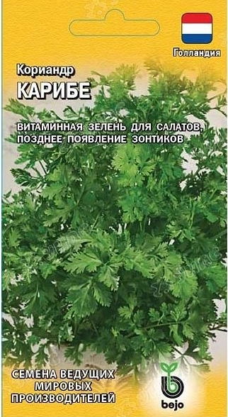 Кориандр Карибе Гавриш Ц