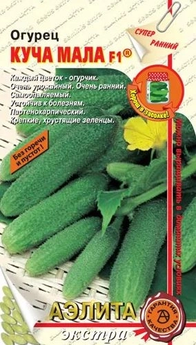 Огурец Куча мала Аэлита Ц