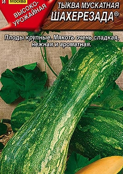 Тыква Шахерезада мускатная Аэлита Ц