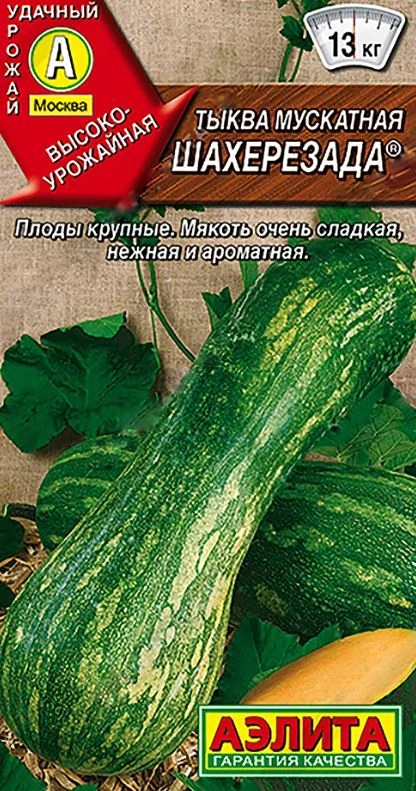 Тыква Шахерезада мускатная Аэлита Ц