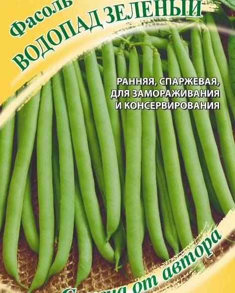 Фасоль Водопад зеленый Гавриш Ц