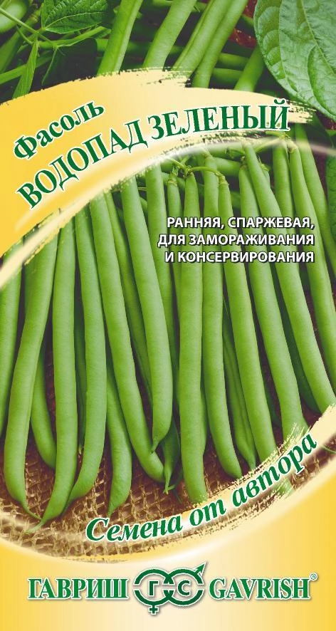 Фасоль Водопад зеленый Гавриш Ц