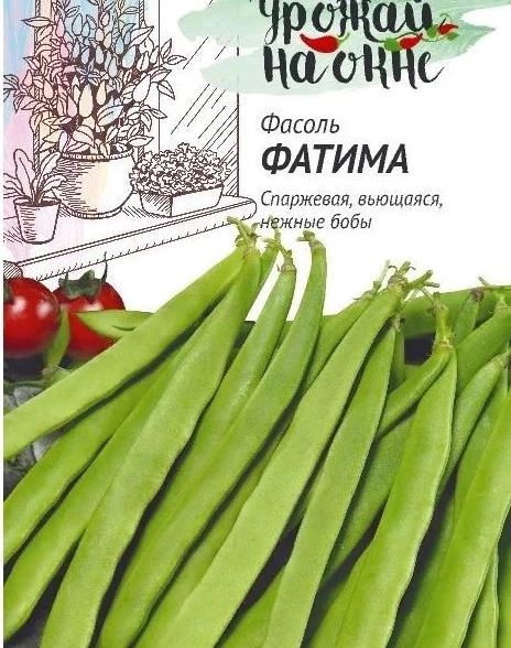 Фасоль Фатима Урожай на окне Гавриш Ц