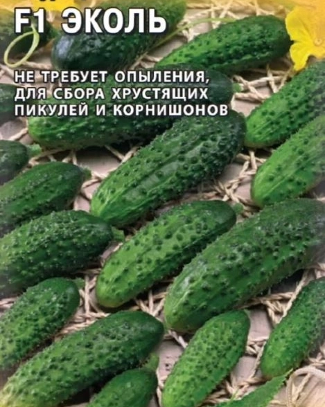 Огурец Эколь Гавриш Ц