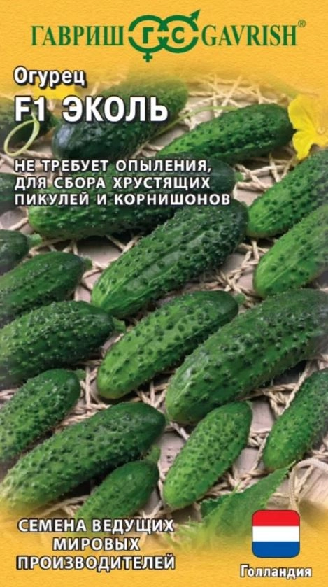 Огурец Эколь Гавриш Ц