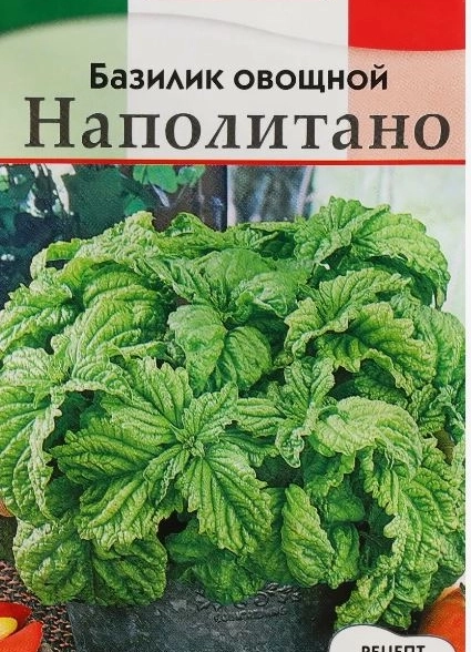Базилик Наполитано Аэлита Ц