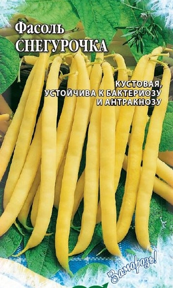 Фасоль Снегурочка спаржевая (заморозь) Гавриш Ц