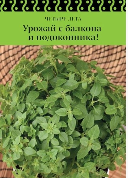 Базилик овощной Шалун (А) (ЦВ) 0,1 гр