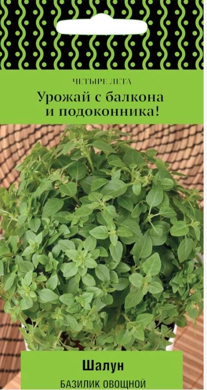 Базилик овощной Шалун (А) (ЦВ) 0,1 гр