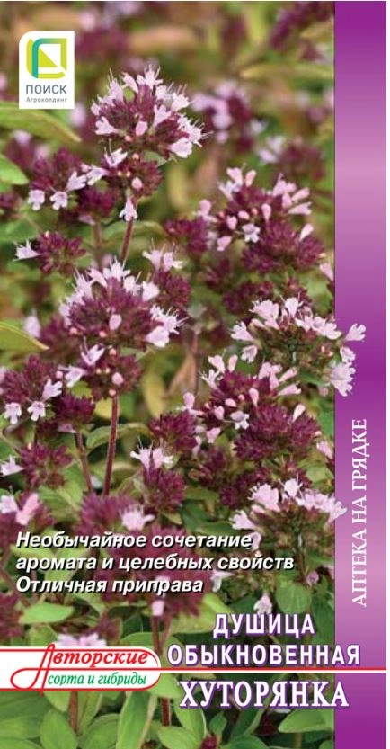 Душица обыкновенная Хуторянка(А) (ЦВ) 0,01гр