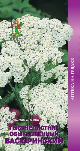 Тысячелистник обыкновенный Васюринский (ЦВ) 0,1гр.