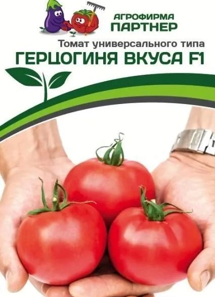 Томат Герцогиня вкуса Партнер Ц