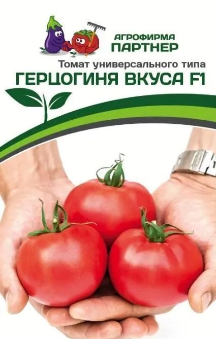 Томат Герцогиня вкуса Партнер Ц