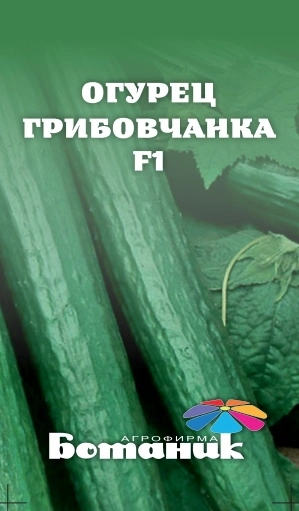 Семена огурца F1 Грибовчанка 0,5гр Ботаник