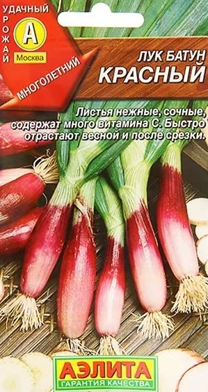 Лук батун Красный Аэлита Ц