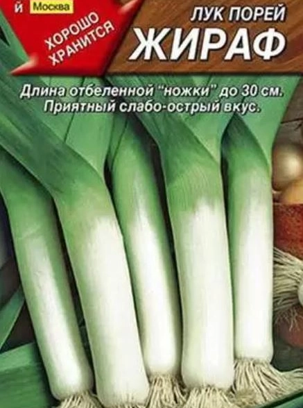 Лук порей Жираф Аэлита Ц