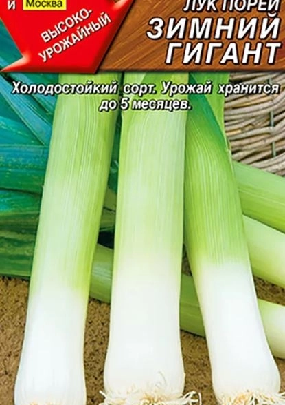 Лук порей Зимний гигант 1г Аэлита Ц