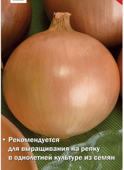 Лук репчатый Талисман F1 0,5гр