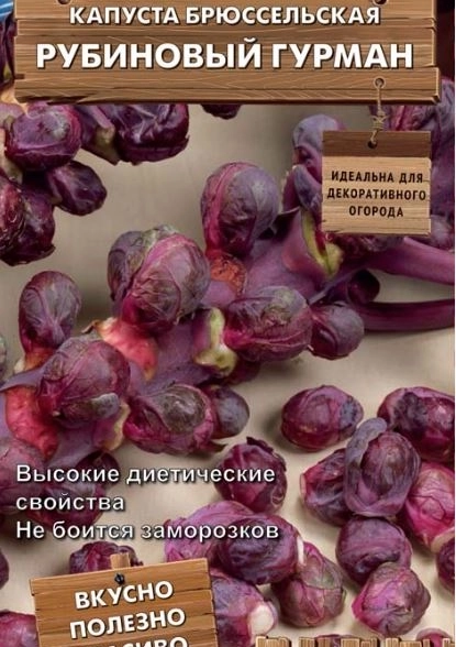 Капуста Брюссельская Рубиновый гурман А/ЦВ 0,1г Декор.огород