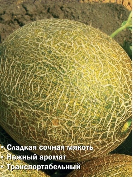 Дыня Царская (ЦВ) 15шт.