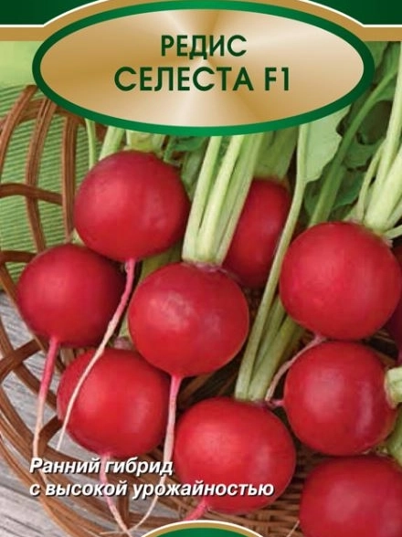 Редис Селеста F1 (ЦВ)2гр.