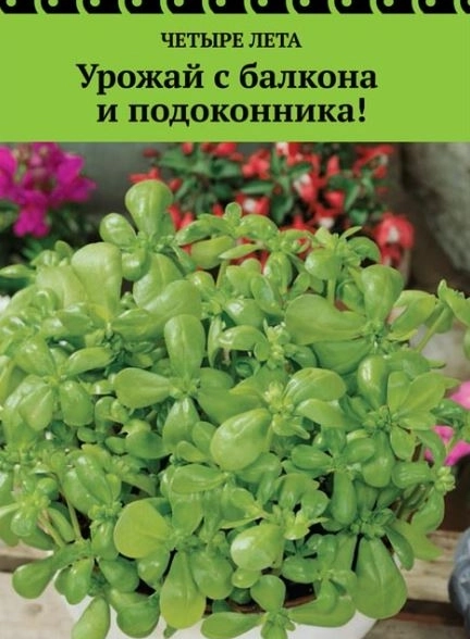 Портулак огородный Лакомка А/ЦВ 20шт Четыре лета