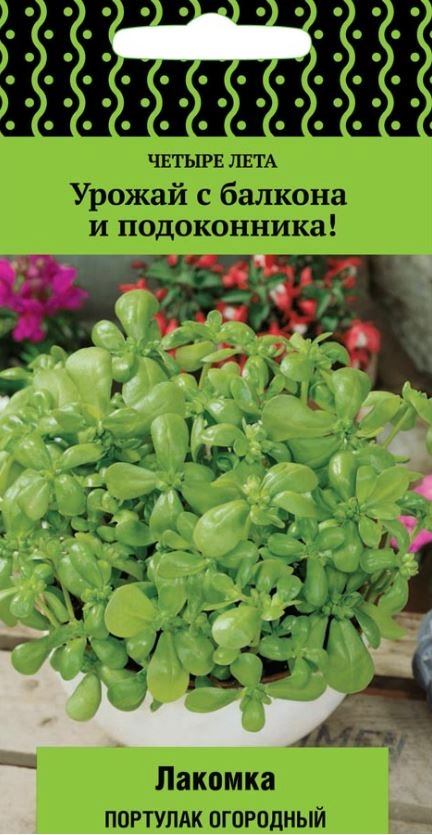 Портулак огородный Лакомка А/ЦВ 20шт Четыре лета