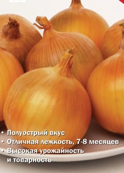 Лук репчатый Форвард (А) ЦВ 1гр.