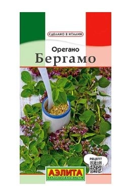 Орегано Бергамо Аэлита Ц