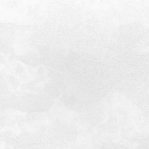 Обои Profi Deco Ветер/Veter 60560-02 флиз. 1,06Х10м