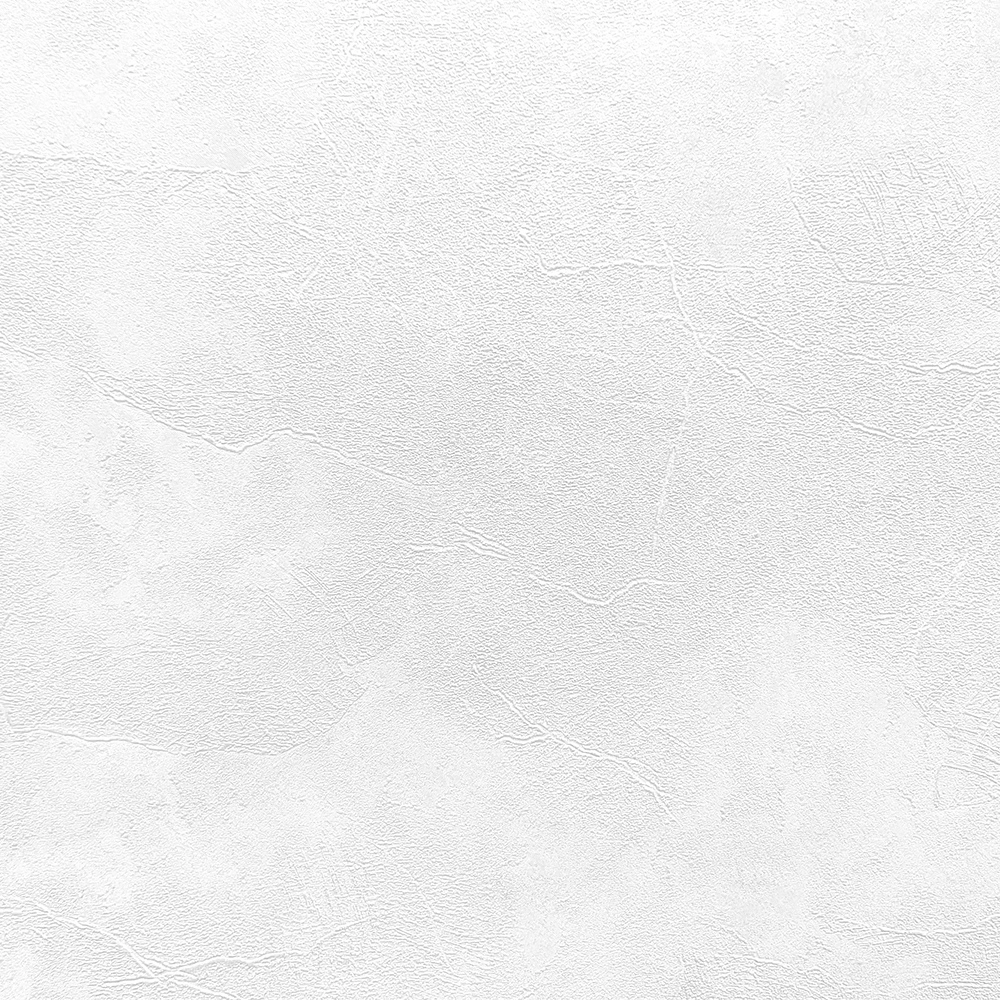 Обои Profi Deco Ветер/Veter 60560-02 флиз. 1,06Х10м