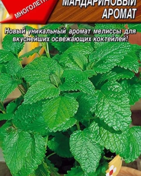 Мелисса Мандариновый аромат Аэлита ц