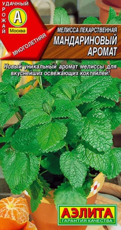 Мелисса Мандариновый аромат Аэлита ц