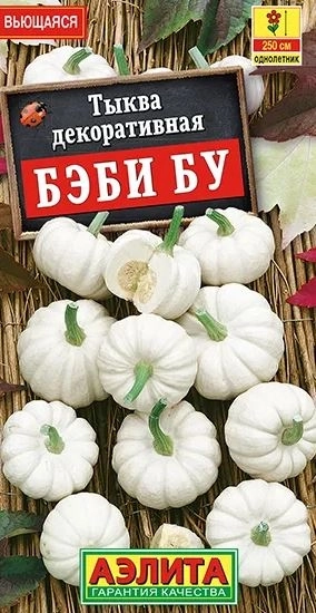 Тыква декоративная Бэби бу Аэлита Ц