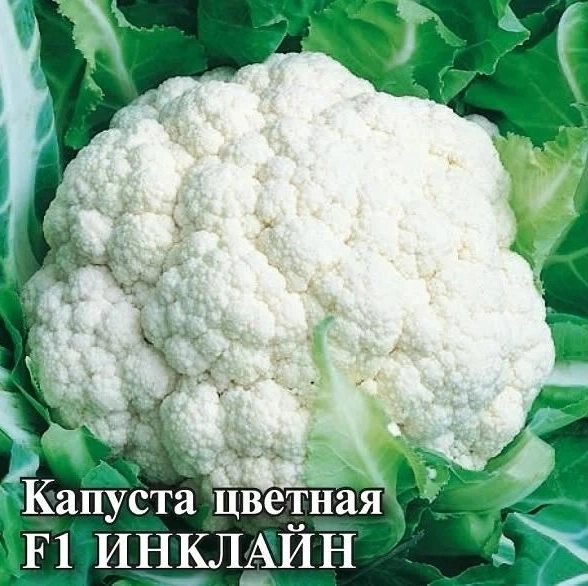 Капуста цв. Инклайн Гавриш ц