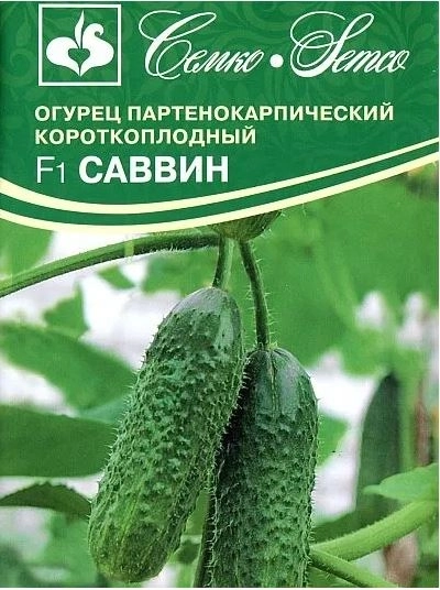 Огурец Саввин Семко Ц
