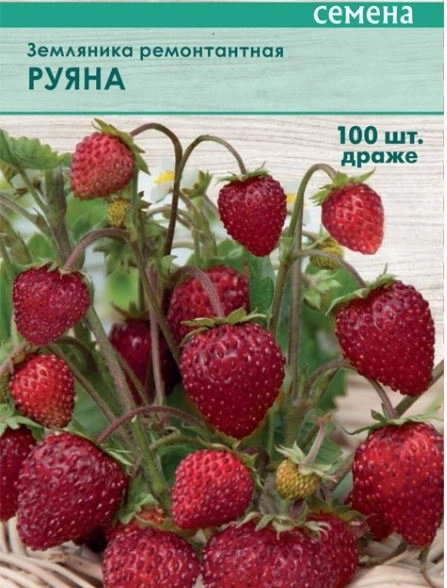 Земляника ремонтантная Руяна ЦВ 100шт.
