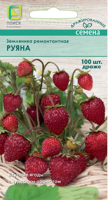 Земляника ремонтантная Руяна ЦВ 100шт.